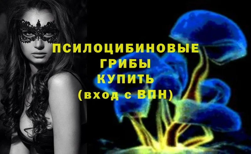 Псилоцибиновые грибы Magic Shrooms  МЕГА tor  Коряжма 